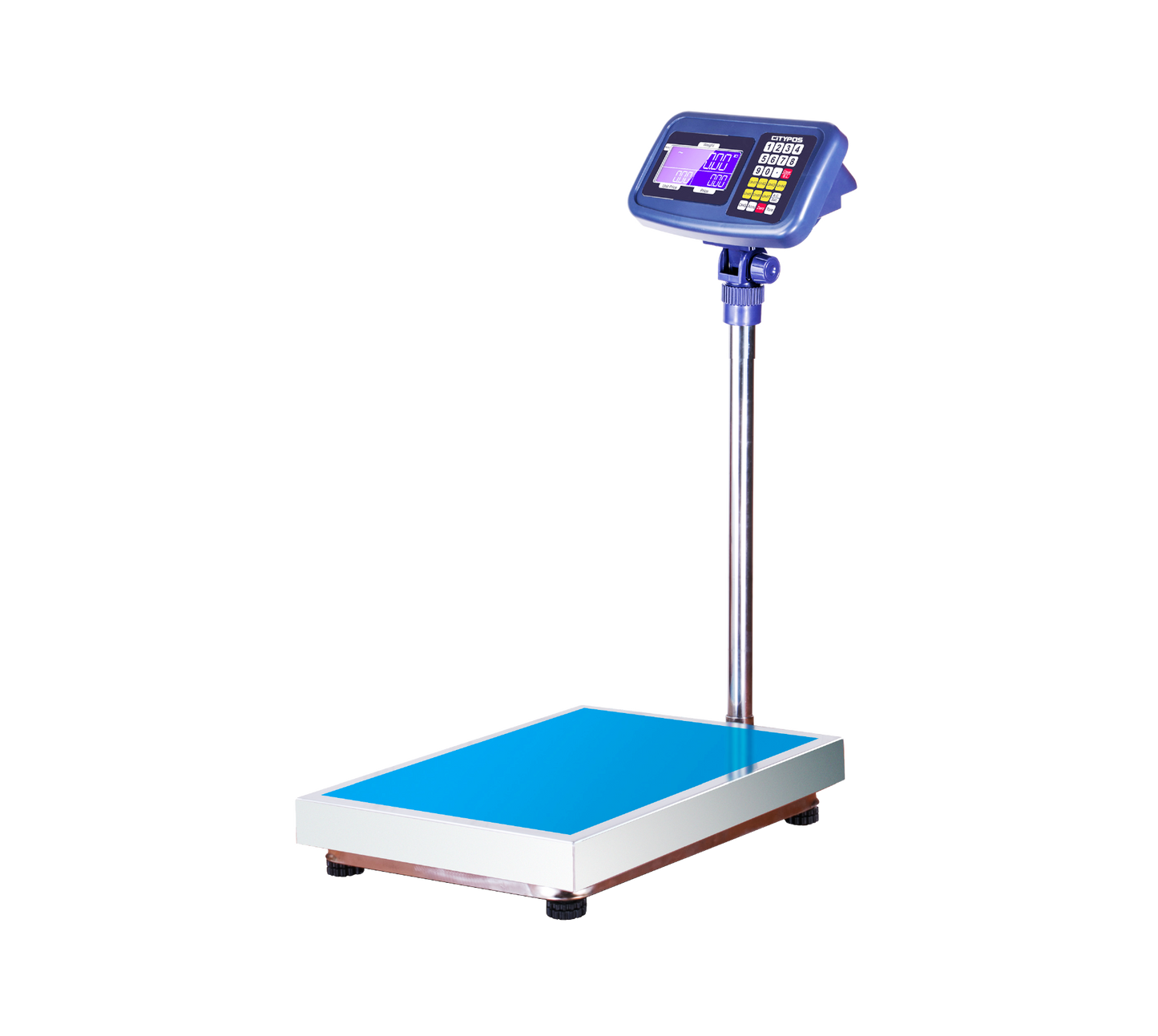 Citypos CP-PWS300KG-4560 300KG PRICE COMPUTING PLATFORM  SCALE LED DISPLAY-45*60